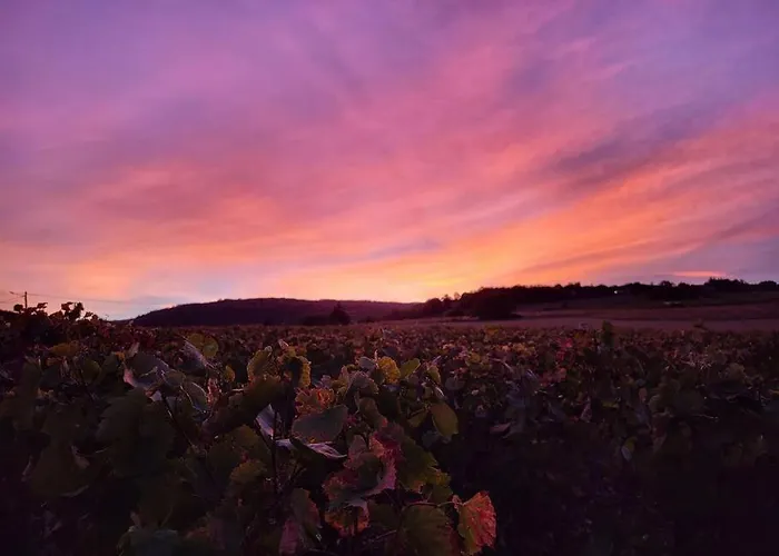 Le Clos Du Botaniste